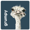 'Grumpy Ostrich' Coaster