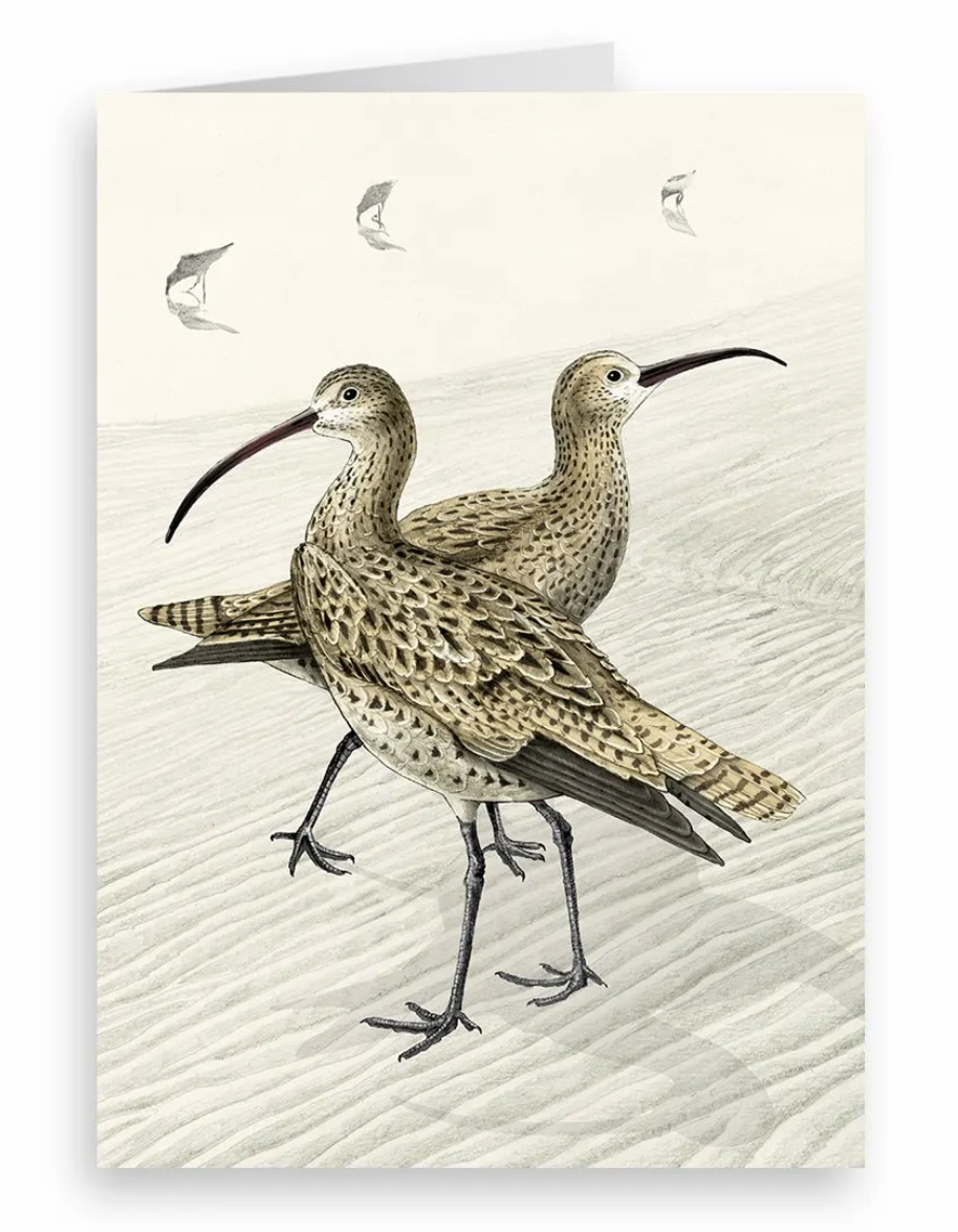 Curlew Image Greetings Card