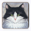 'Harvey' Cat Coaster