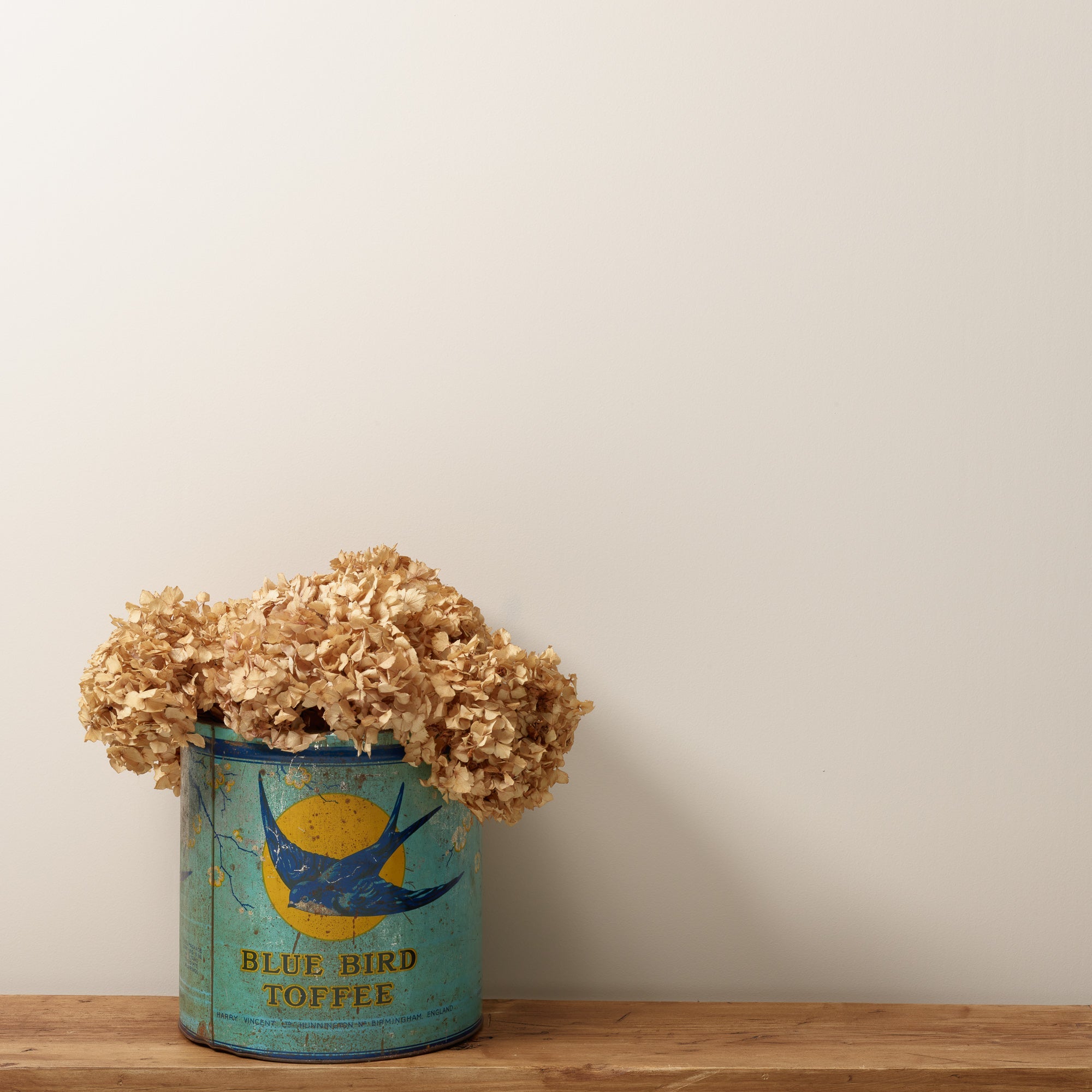 Corker - Peel & Stick Paint Sample