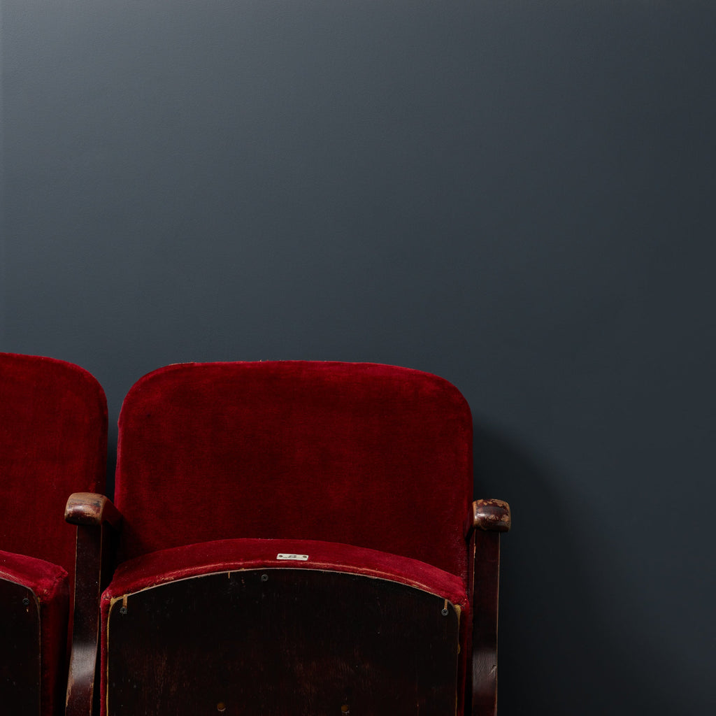 Dark Horse - Peel & Stick Paint Sample