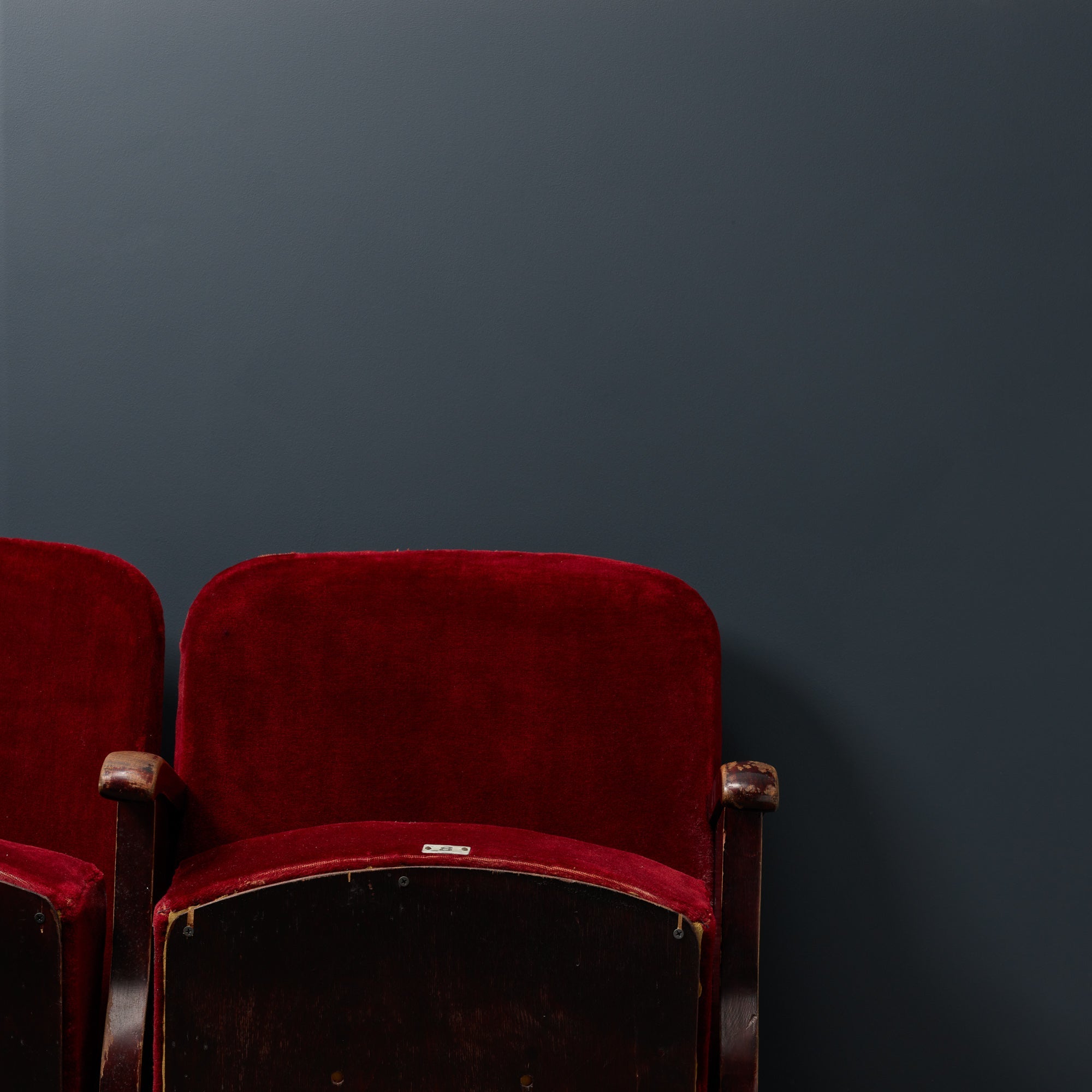 Dark Horse - Peel & Stick Paint Sample