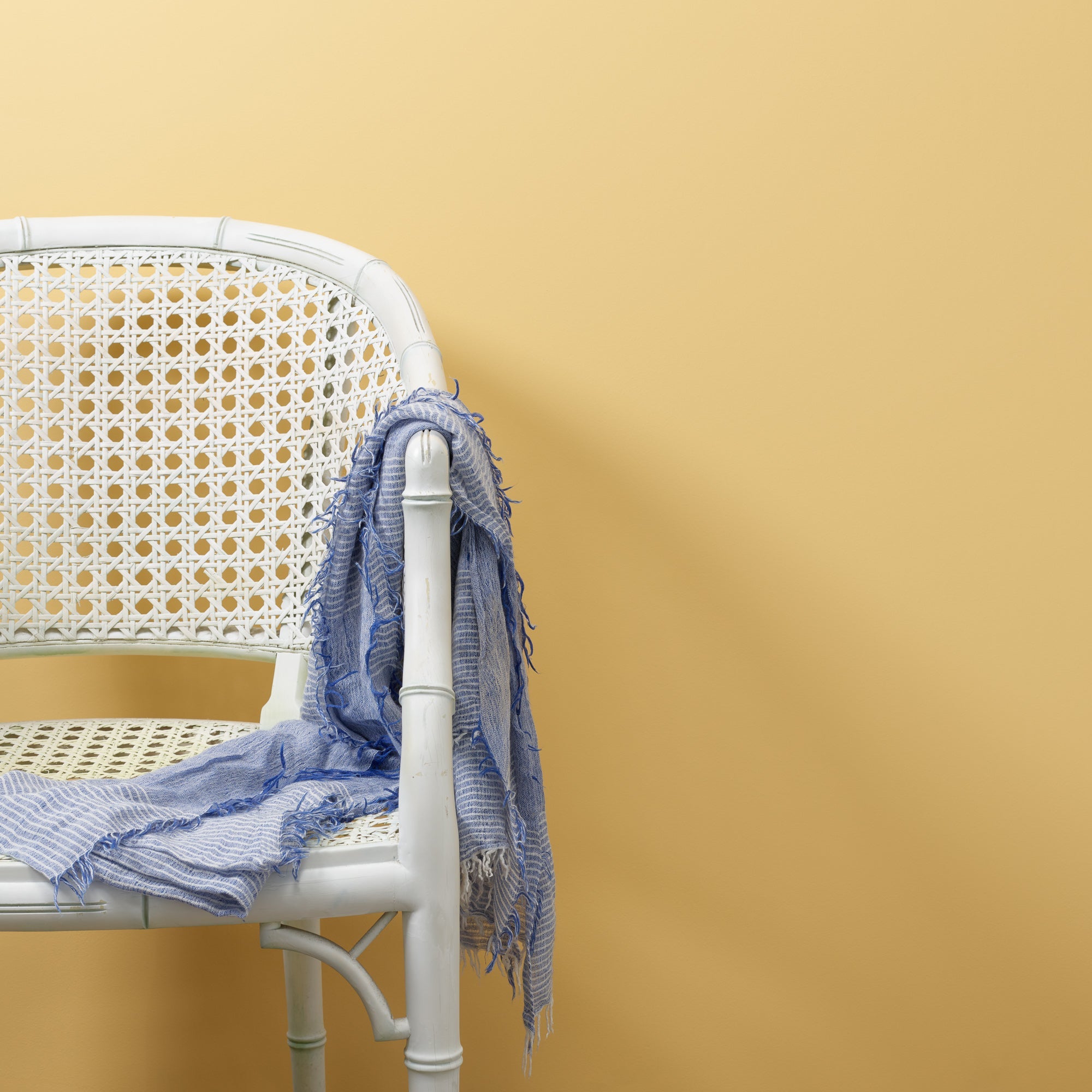 Eggnog - Peel & Stick Paint Sample