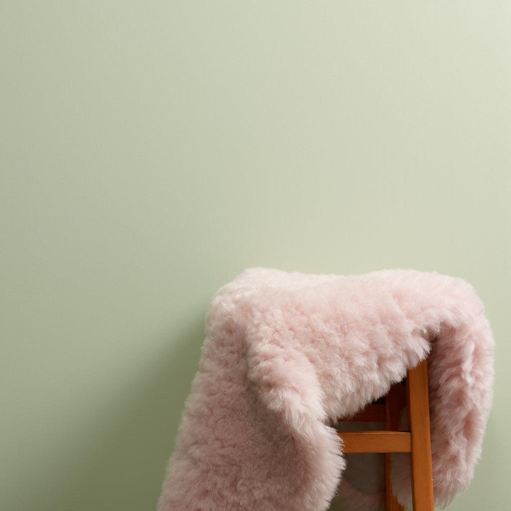 Eye Candy - Peel & Stick Paint Sample