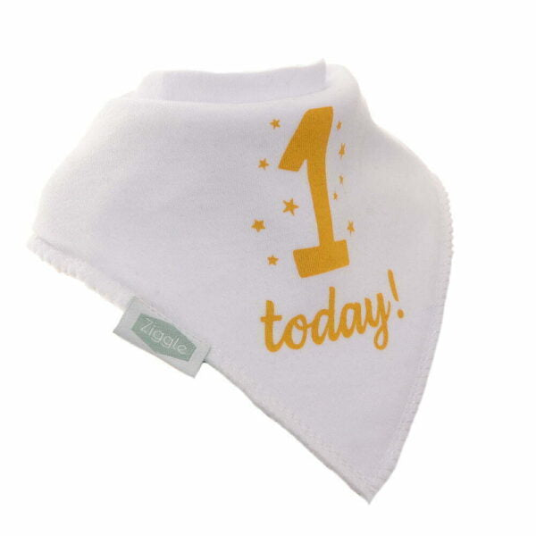 Dribble Bib - 1 Today