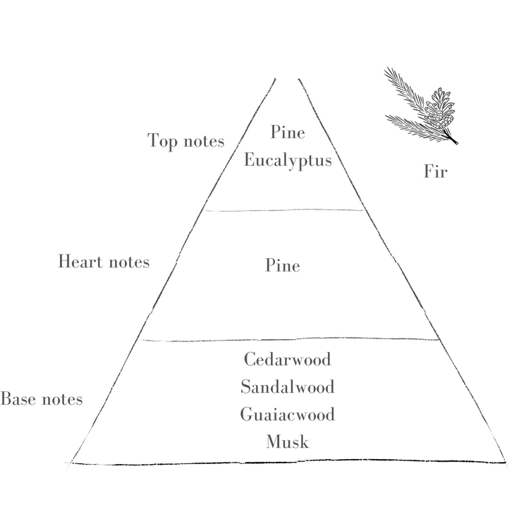 Holly Pot Candle - Fir