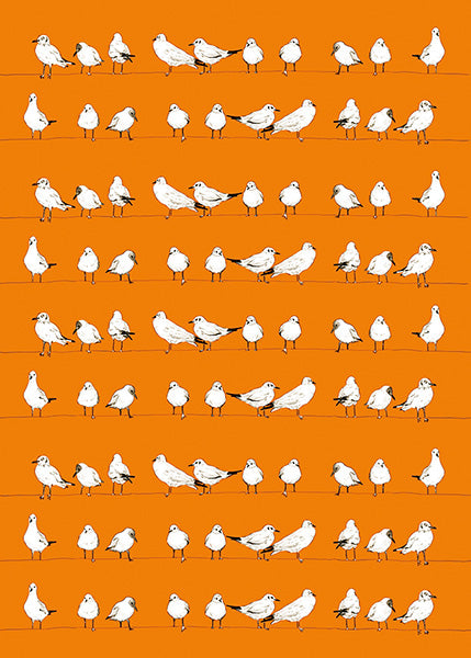 Sea Gulls On A Line
