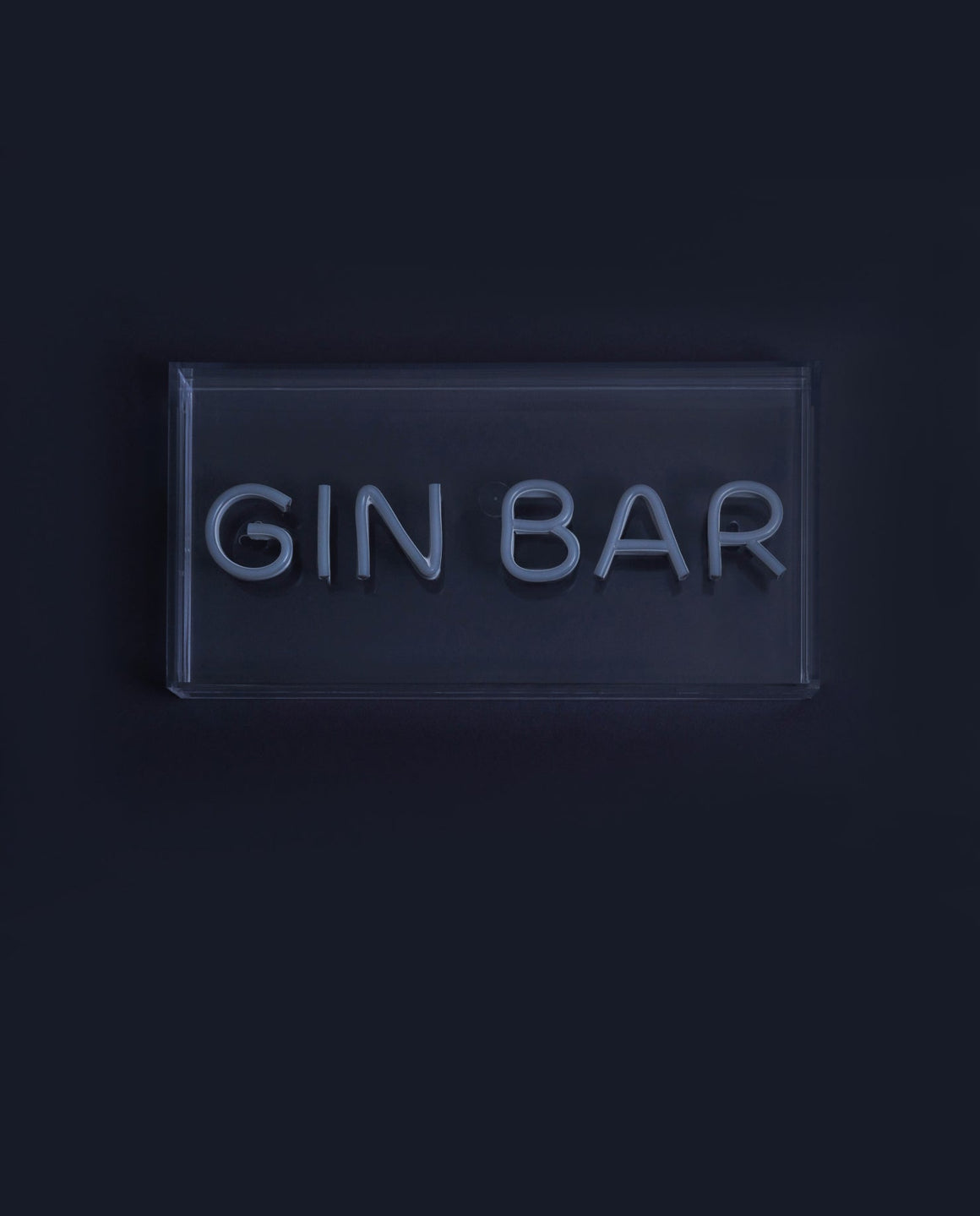 GIN BAR Neon Pink Acrylic Light Box