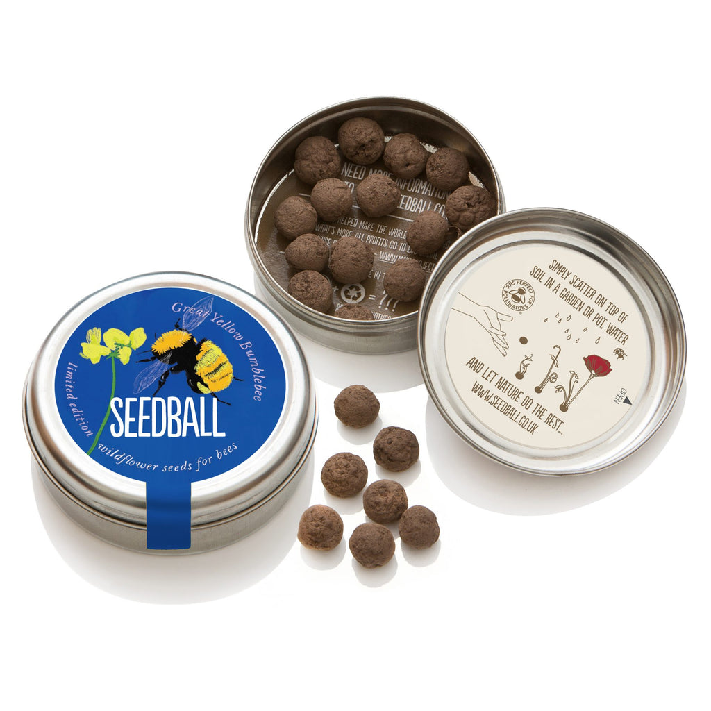 Seedball Wildflower Tins - Great Yellow Bee