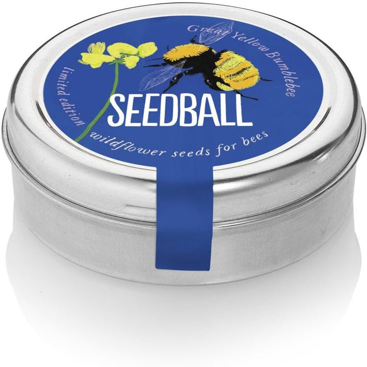 Seedball Wildflower Tins - Great Yellow Bee