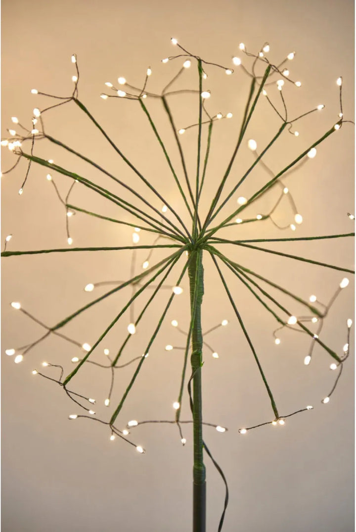 Dandelion Solar Garden Light - Green