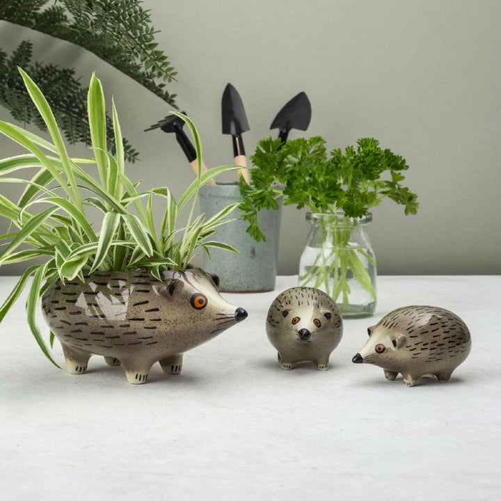 Planter - Hedgehog