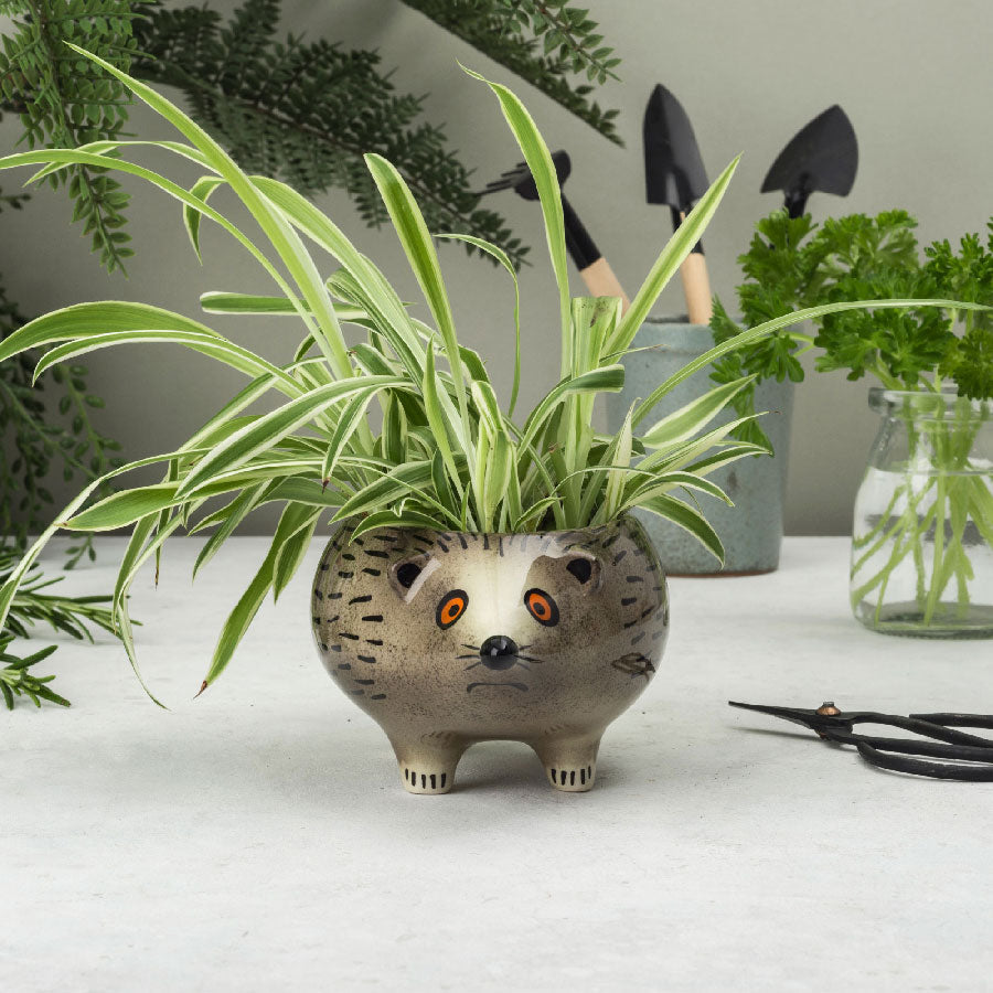 Planter - Hedgehog