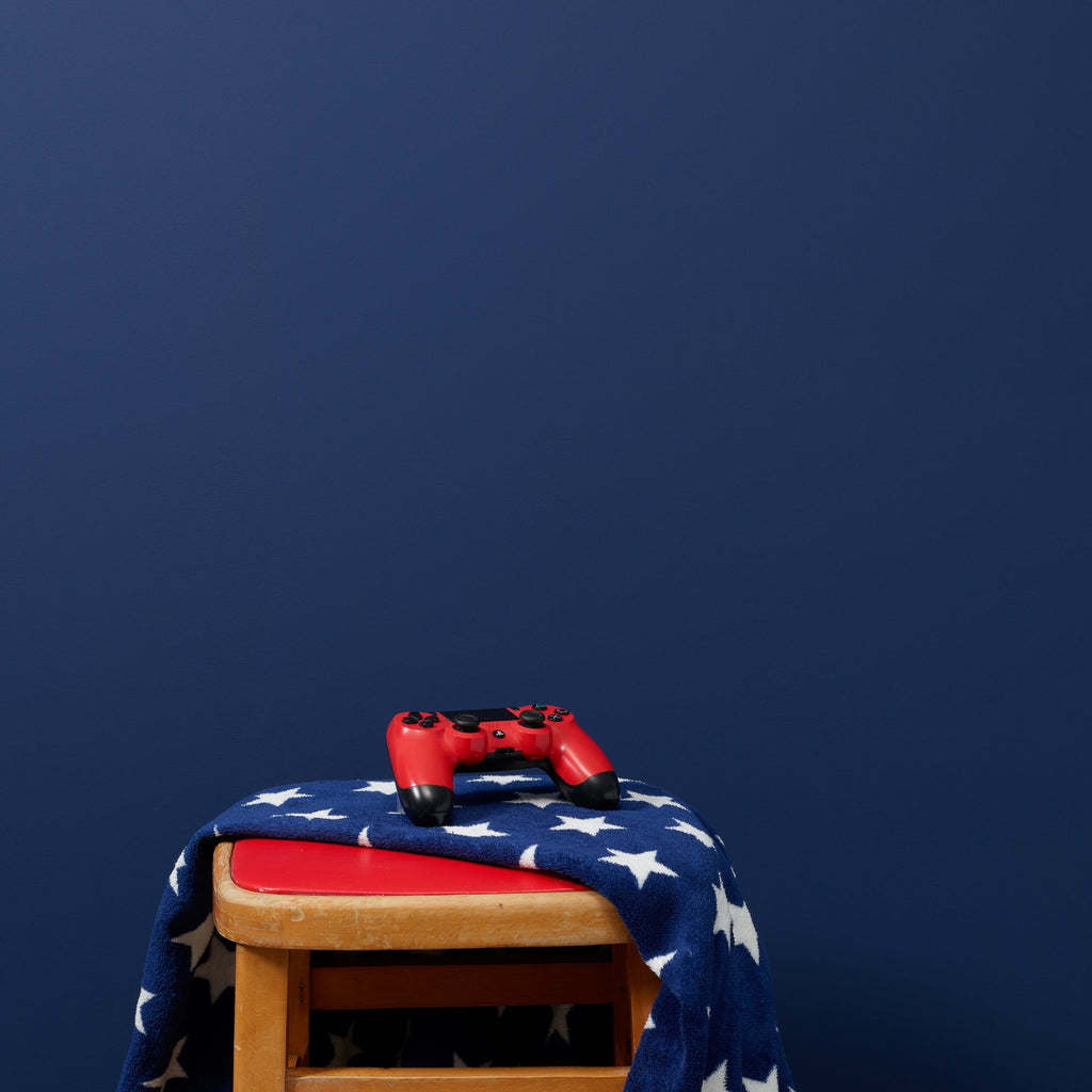 Hornblower - Peel & Stick Paint Sample