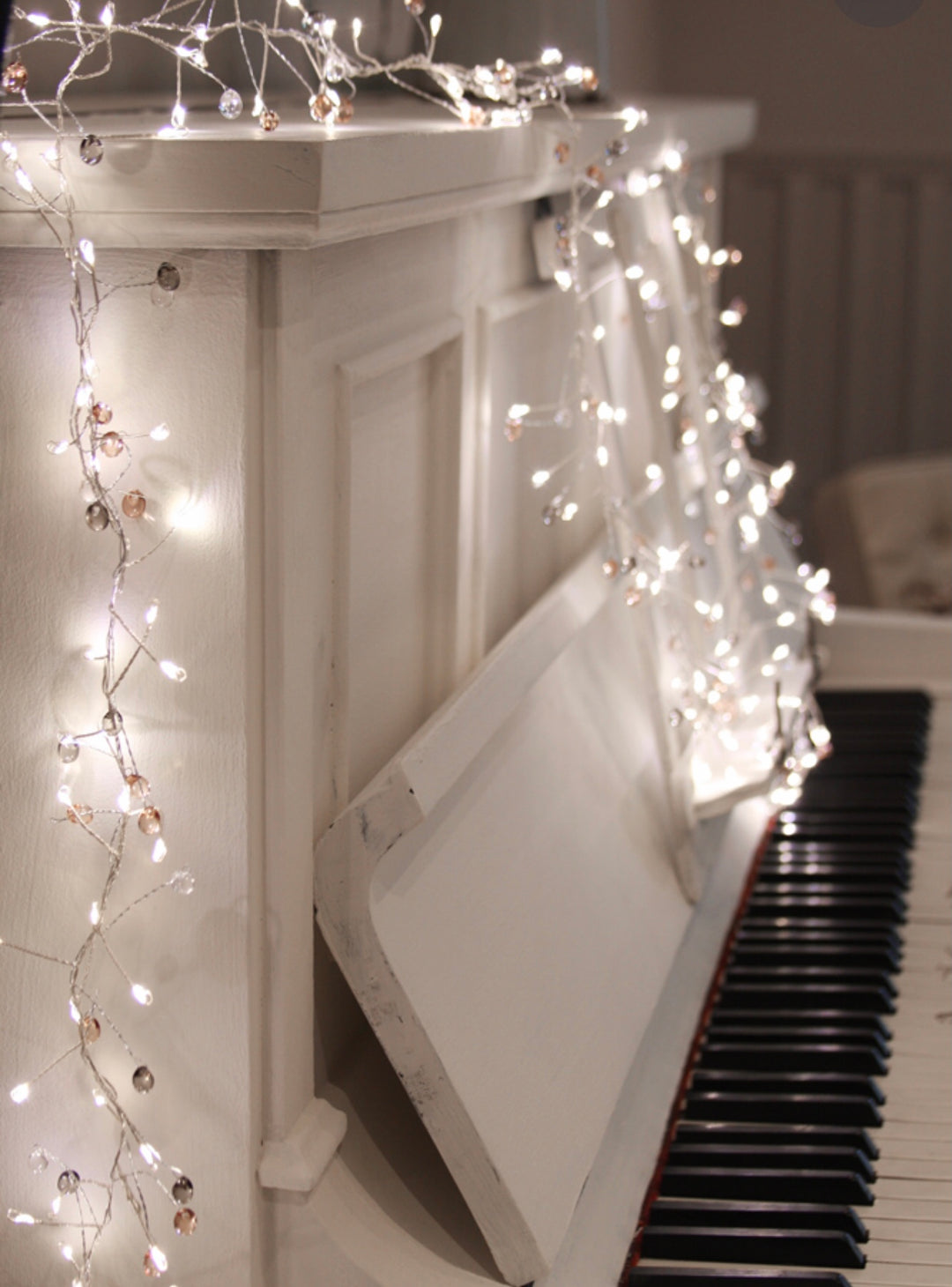 Coco Cluster String Lights