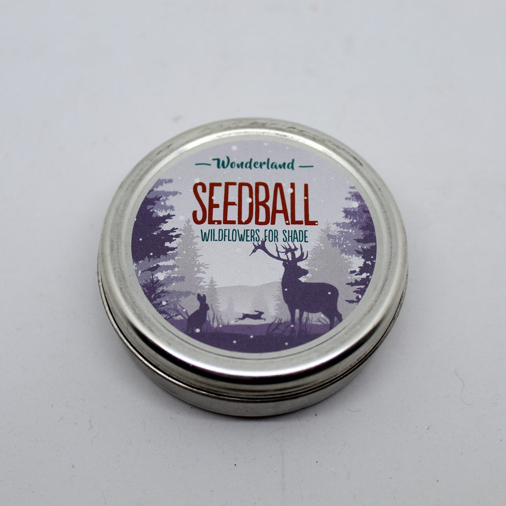 Seedball Wildflower Tins - Snow Mix