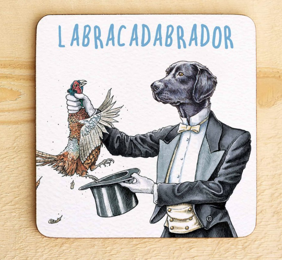 Labracadabrador Coaster