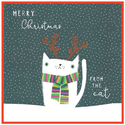 Merry Christmas - From The Cat