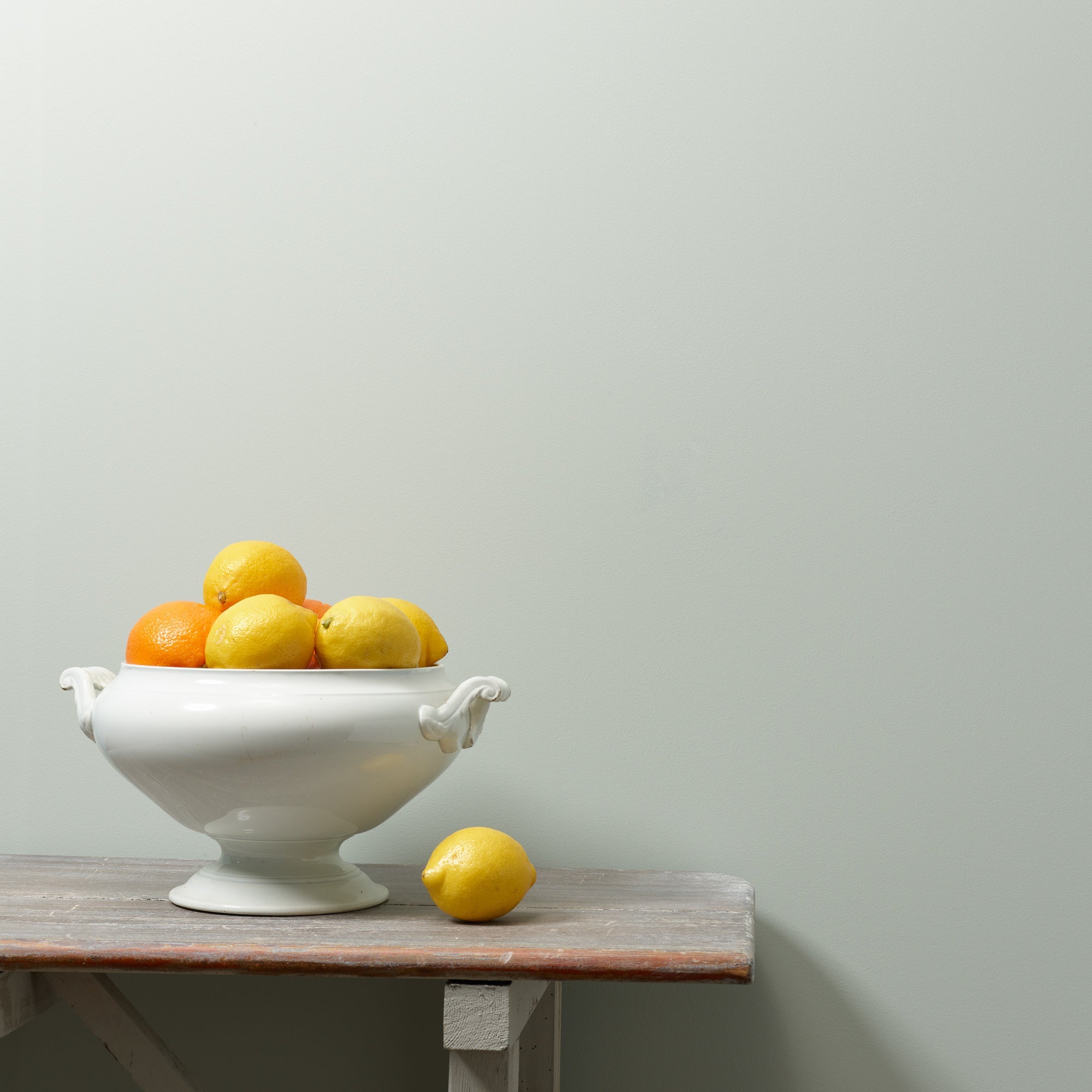 Maverick - Peel & Stick Paint Sample