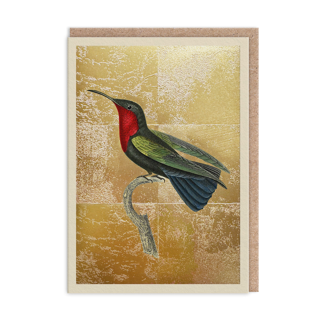 Garnet-Throated Hummingbird