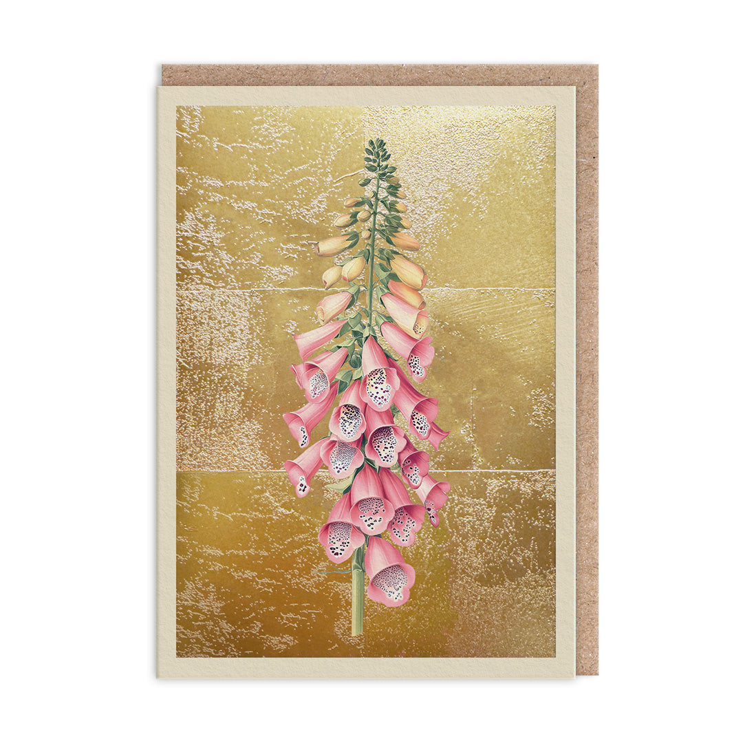 Foxgloves