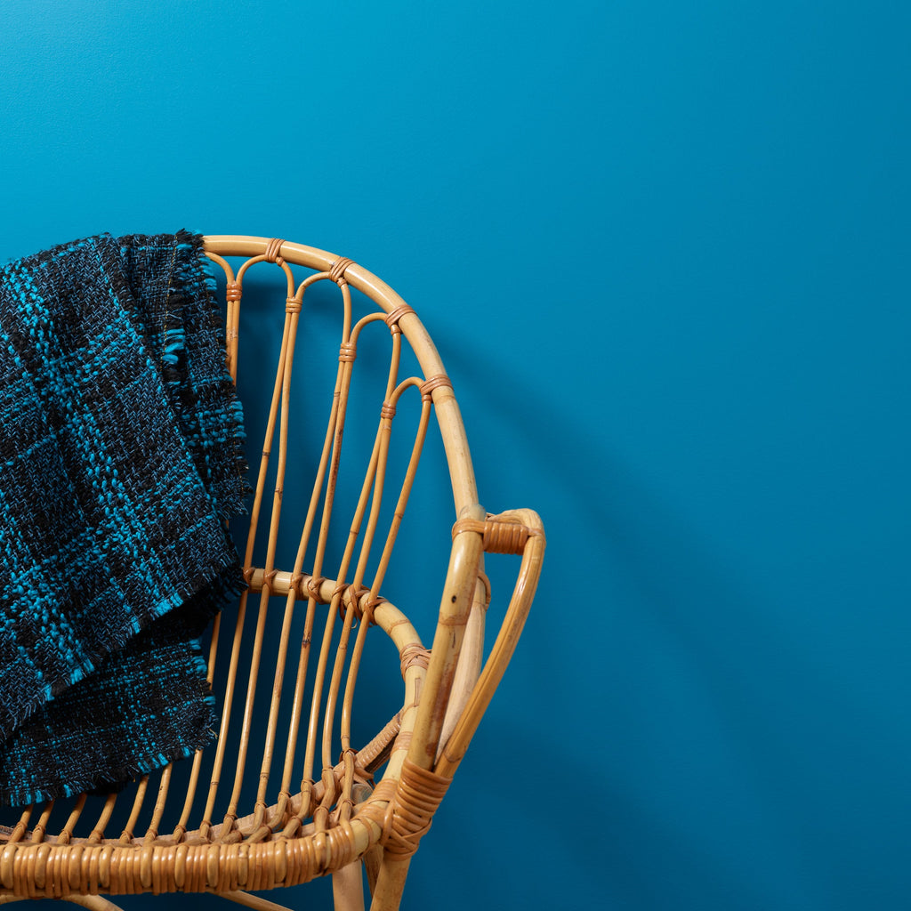 Pinch Punch - Peel & Stick Paint Sample