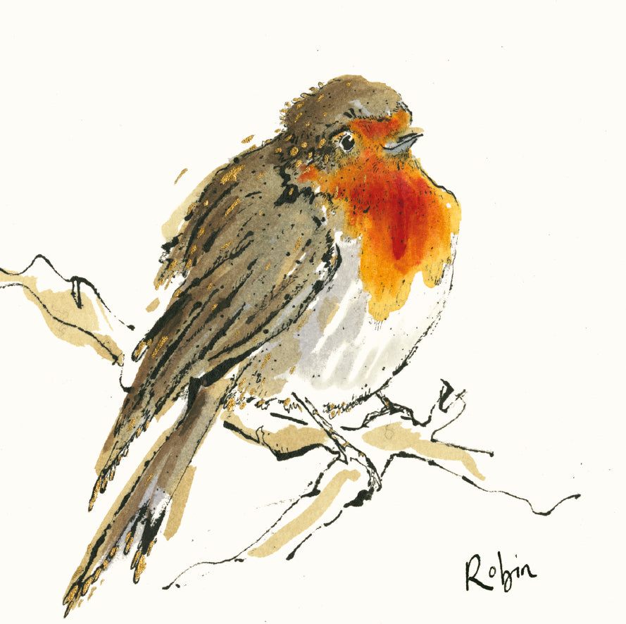 Robin