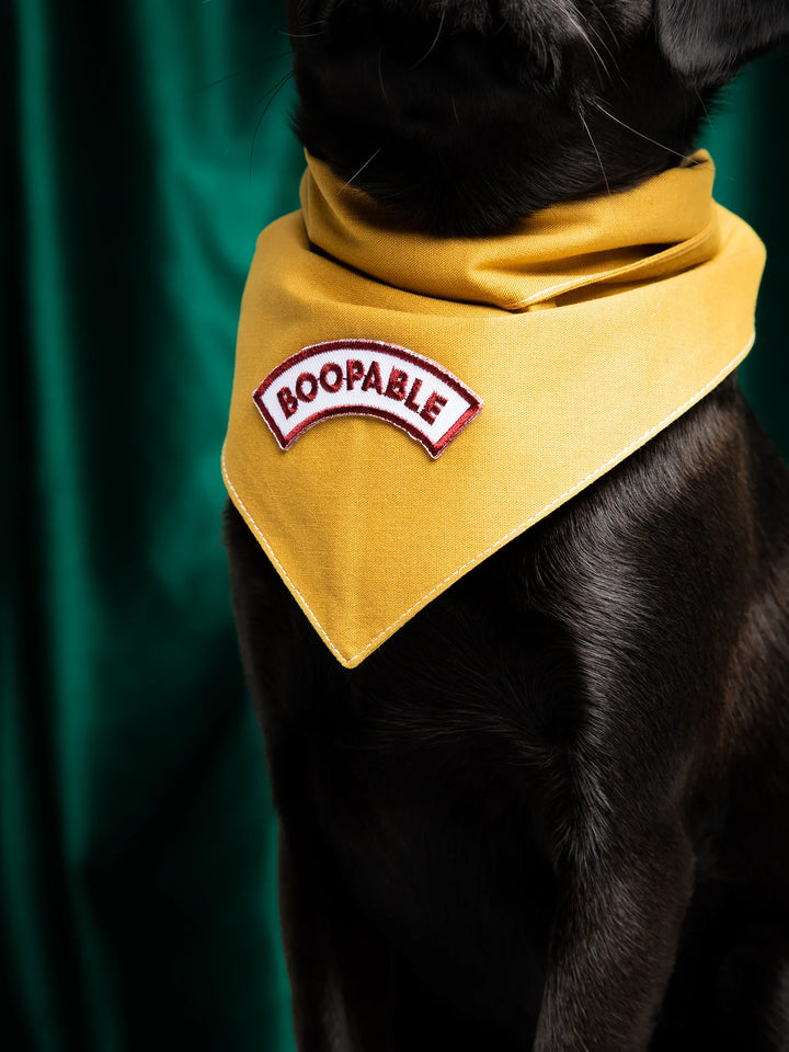 Bandana for Dogs - Mustard