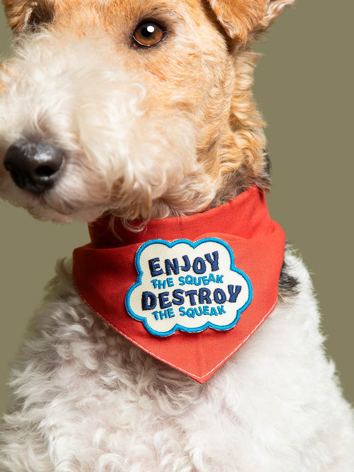 Enjoy The Squeak Iron On Merit Badge For Pets