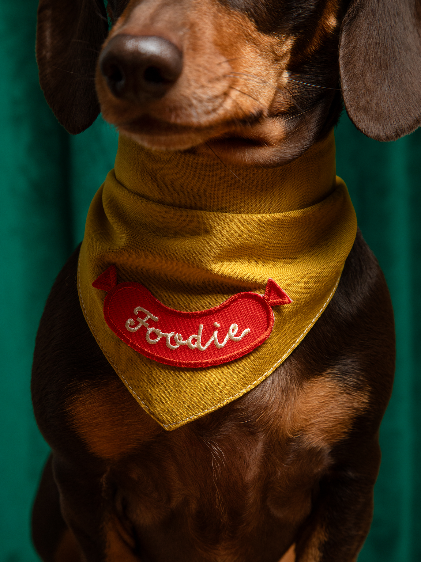 Foodie - Iron On Dog Merit Badge