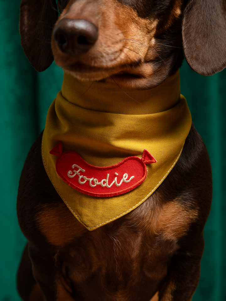 Foodie - Iron On Dog Merit Badge