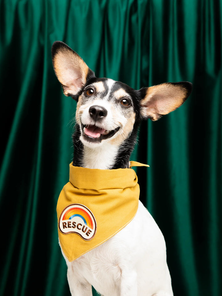 Rescue - Iron On Merit Badge For Pets