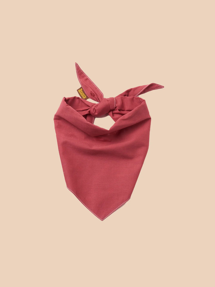 Bandana for Dogs - Rosey Red