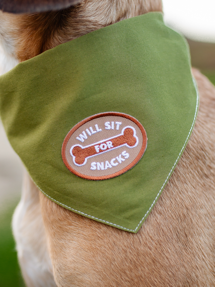 Will Sit For Snacks - Iron on Merit Badge For Pets