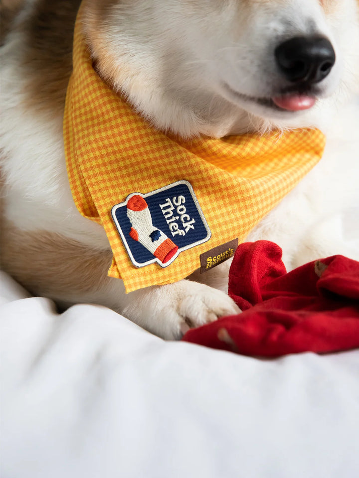 Sock Thief Iron On Merit Badge Fot Pets