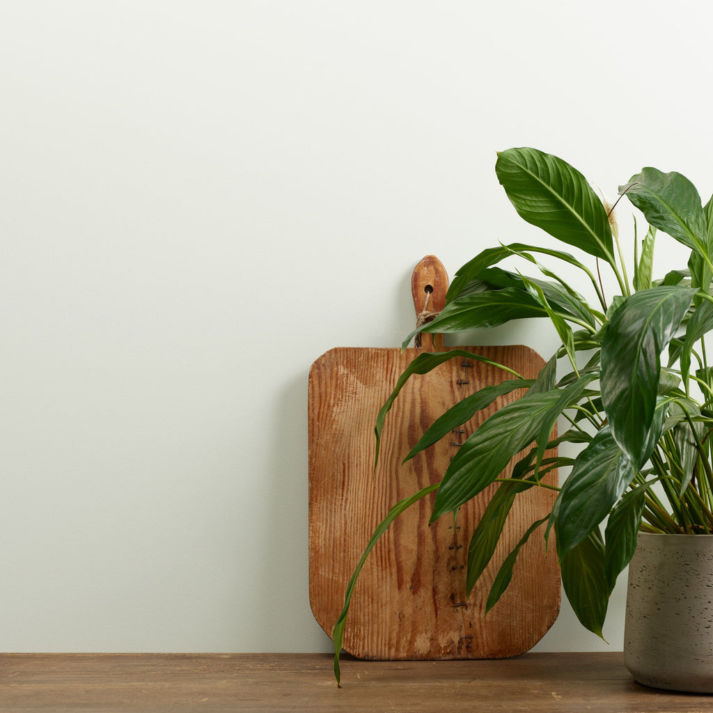 Sage Froth - Peel & Stick Paint Sample