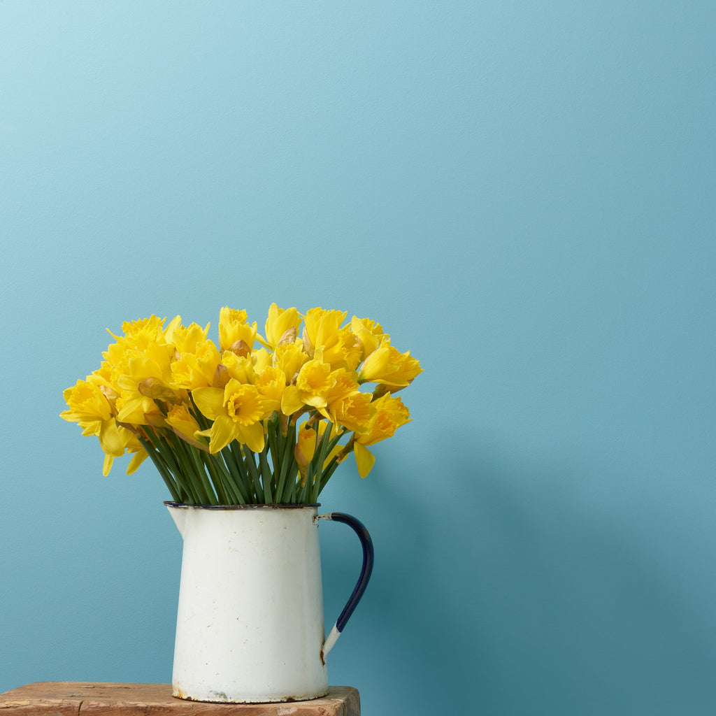 Santorini - Peel & Stick Paint Sample