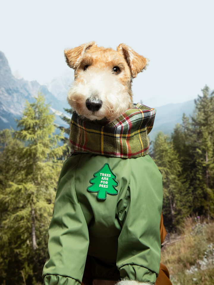 Trees for Pees Iron On Merit Badge For Dogs