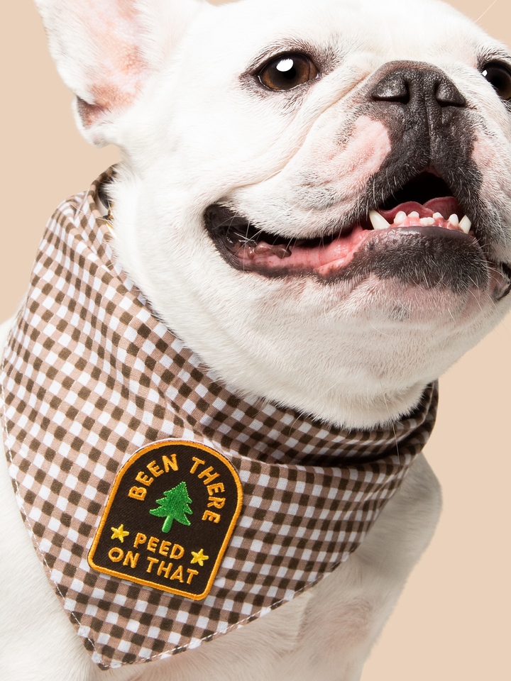 Been There Peed On That - Iron On Merit Badge For Pets