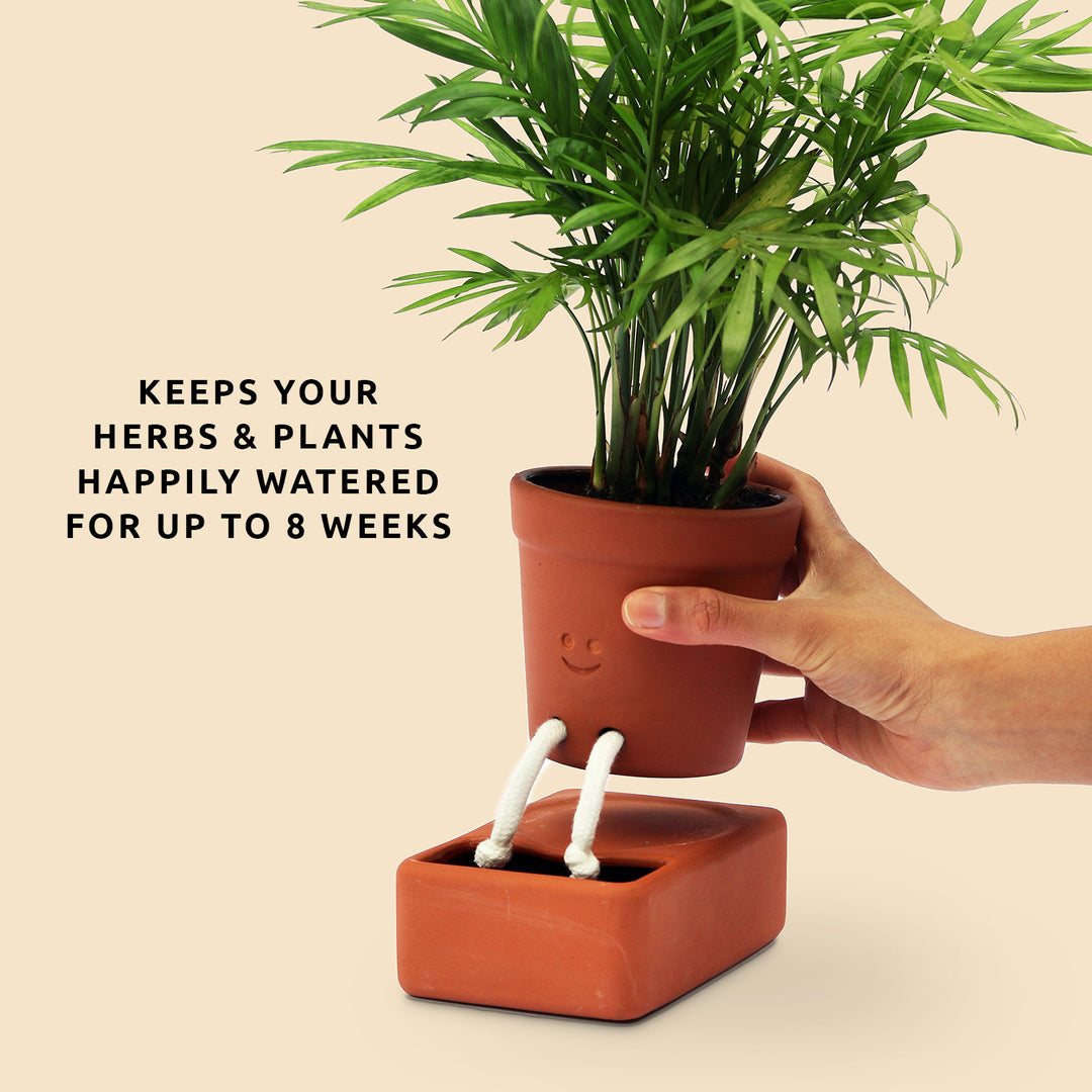 Self-care Planter