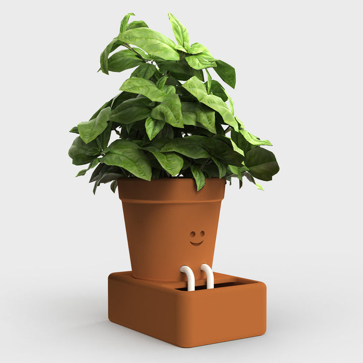 Self-care Planter