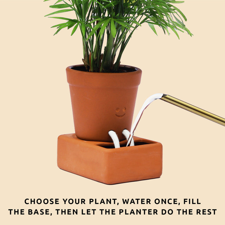 Self-care Planter