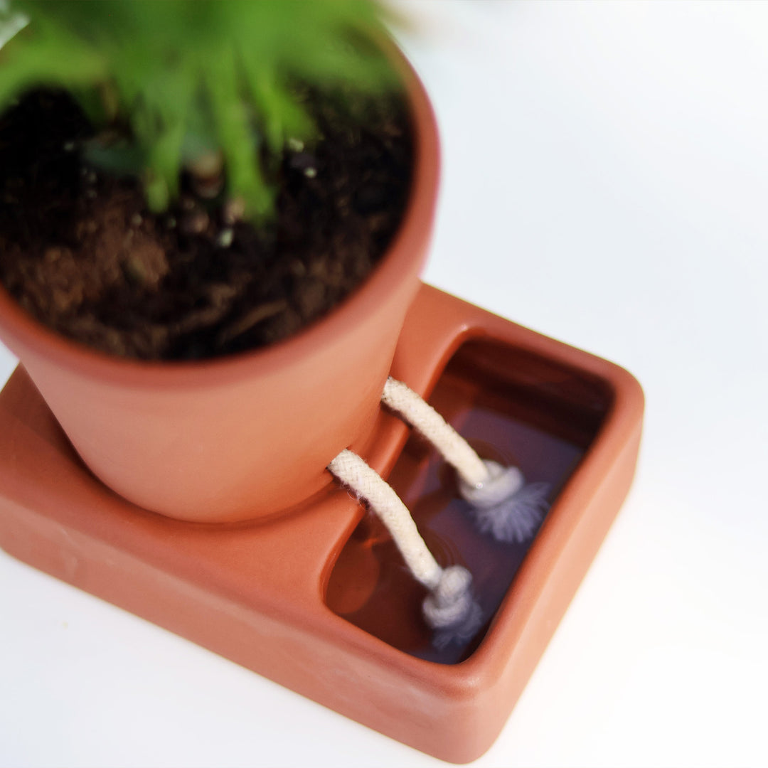 Self-care Planter