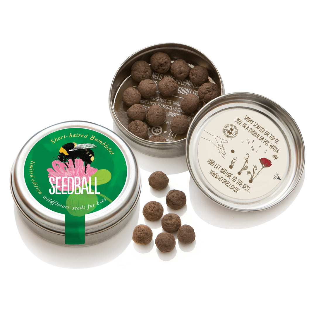 Seedball Wildflower Tins - Short-haired Bee