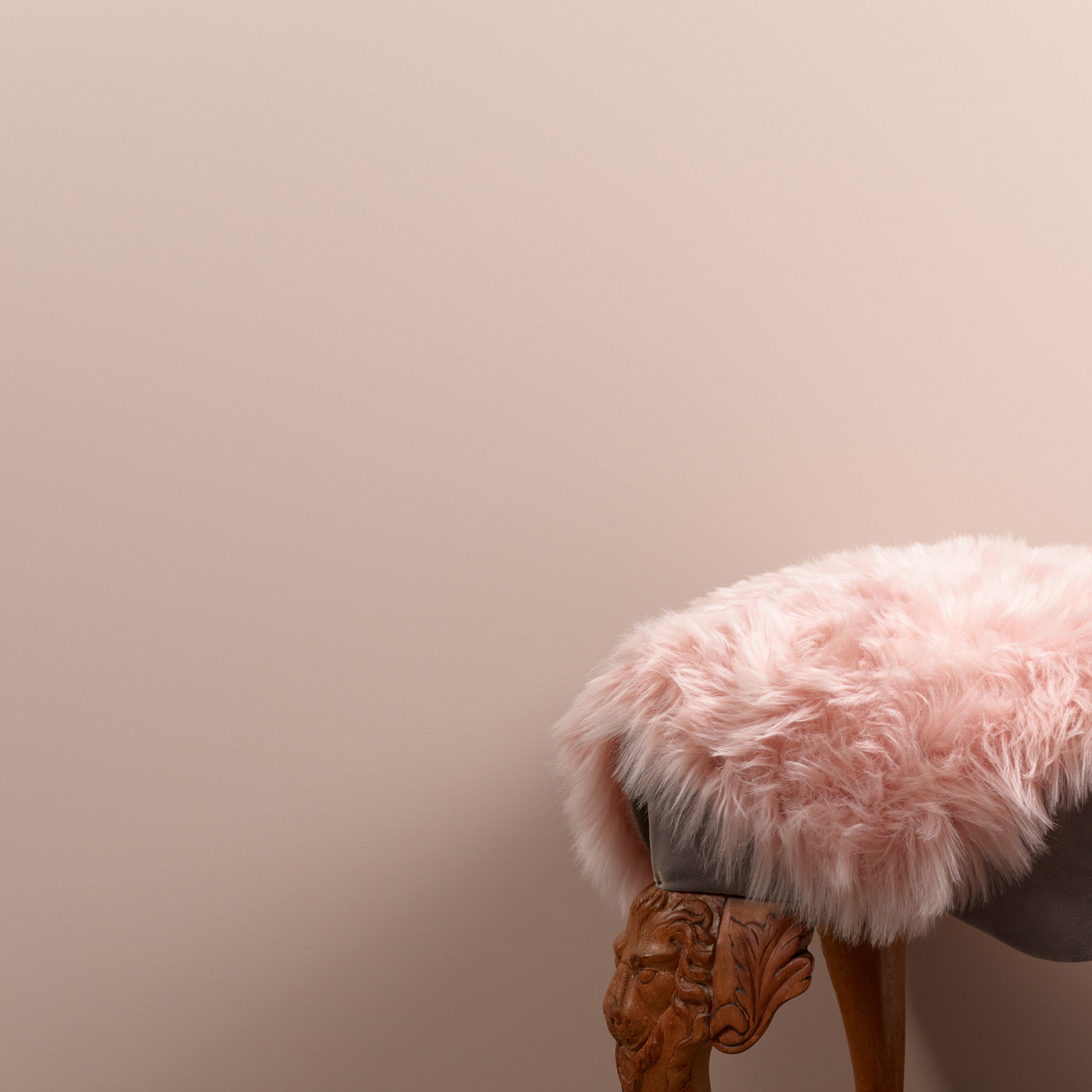 Swayed - Peel & Stick Paint Sample