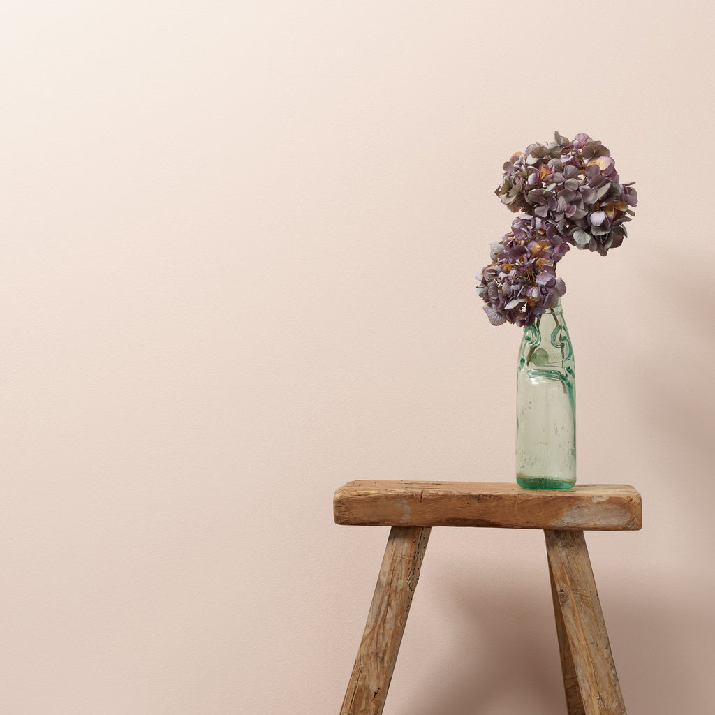 Sweetcheeks - Peel & Stick Paint Sample