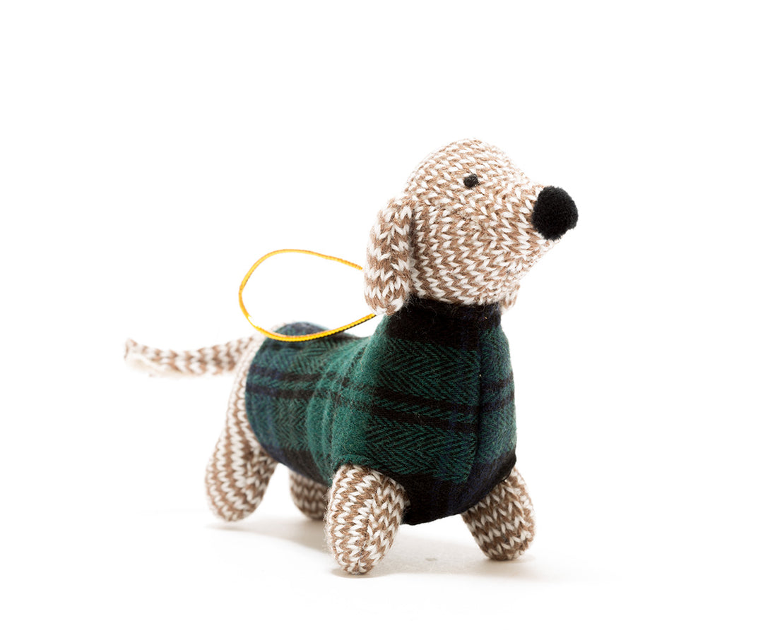 Sausage Dog In Tartan Jumper