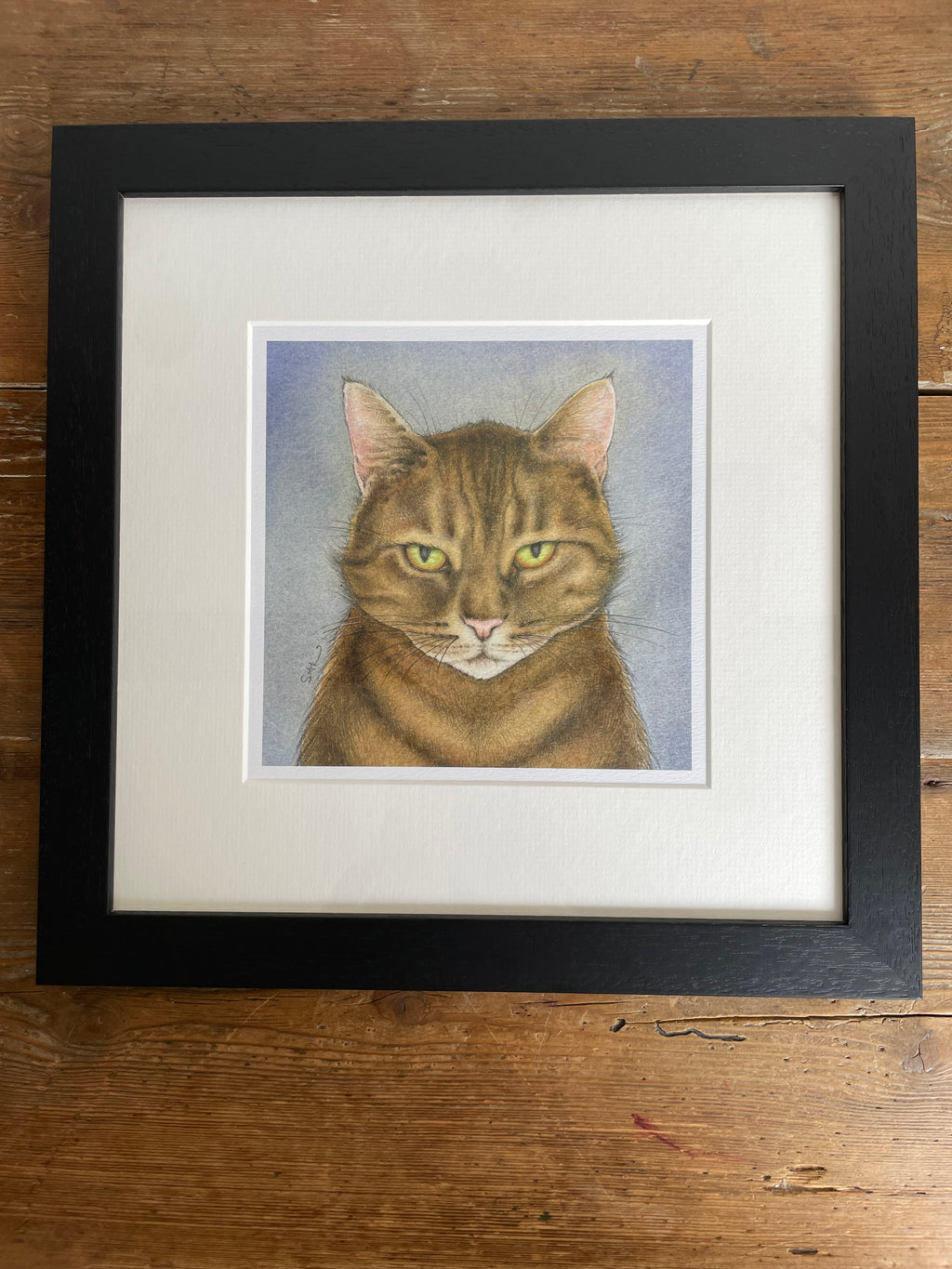 'Tiger' Cat -  Mounted Print