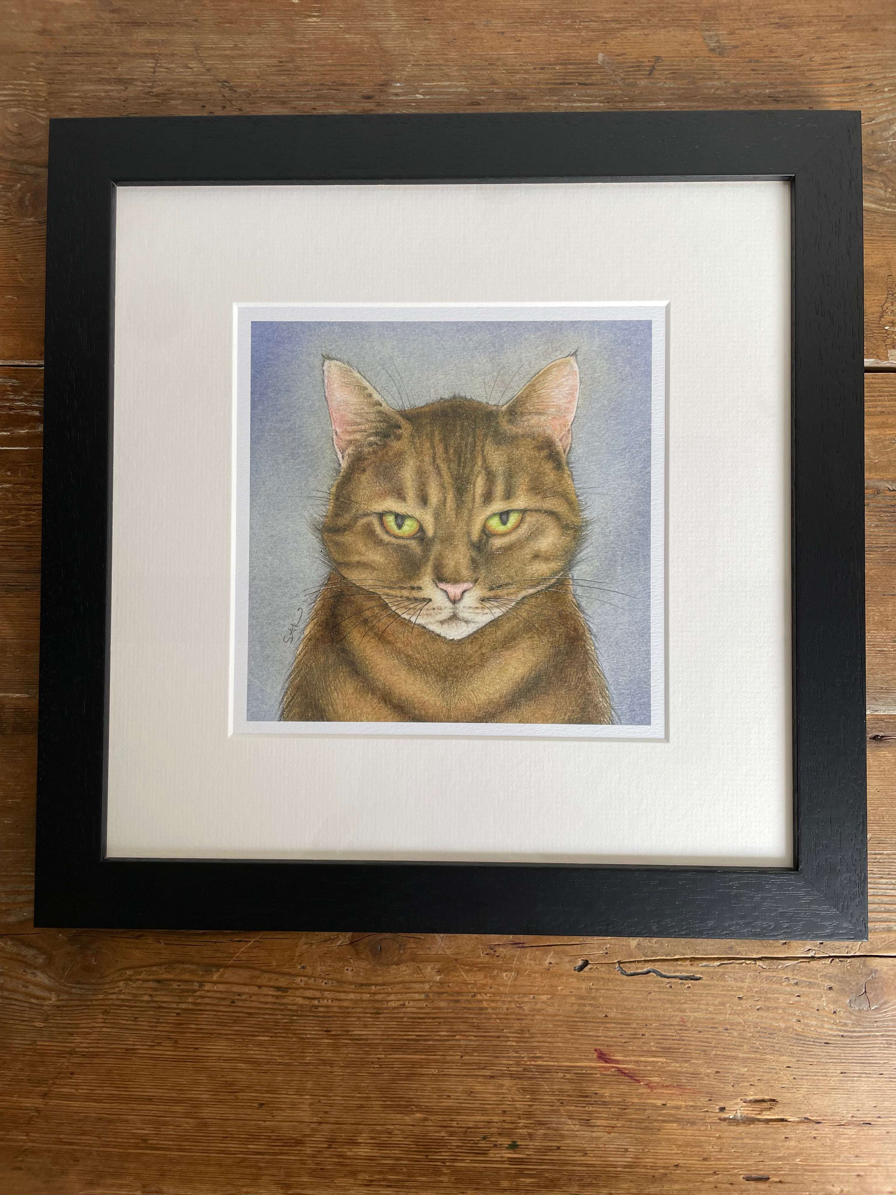 'Tiger' Cat -  Mounted Print