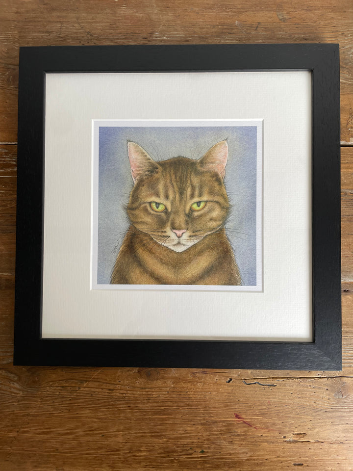 'Tiger' Cat -  Mounted Print